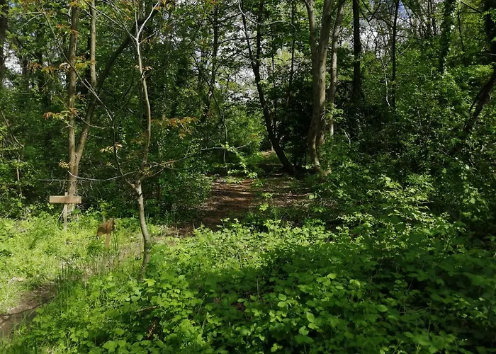 Casetta Con Terrazza Appartamento *