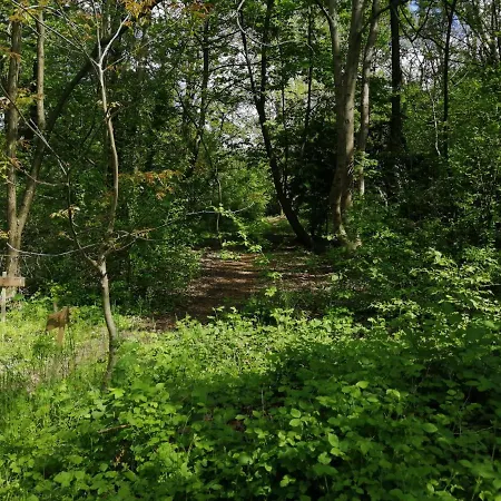 Casetta Con Terrazza Apartament *